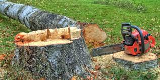  Stonybrook, PA Tree Care Pros
